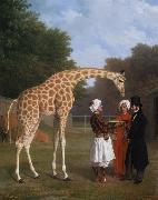 Jacques-Laurent Agasse, The Nuian Giraffe (mk25)